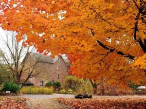 Brandywine Museum of Art