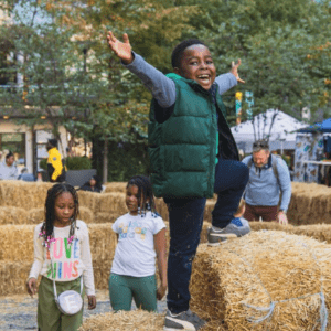 Maze Days at Dilworth Park