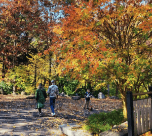 Morris Arboretum & Gardens