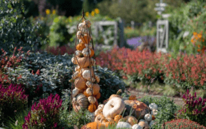Pumpkin Displays and Halloween Magic at Longwood Gardens