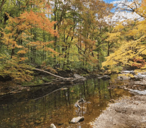 Ridley Creek State Park