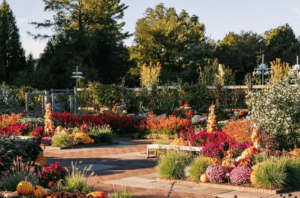 Autumn Colors at Longwood Gardens