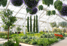 周末去哪儿|冬天的惊喜! 长木花园冬日奇观回归; 吃货盛典:市中心餐厅周; 亲子友好:富兰克林科技馆生日派对 Winter Wonder at Longwood Gardens