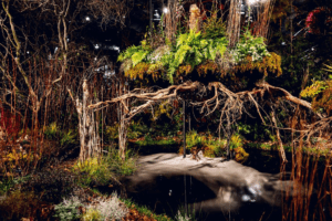 汉密尔顿园艺竞赛