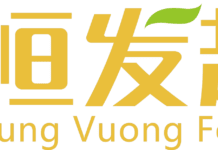 KOP恒发美食城盛大开业, 品类超全优惠拉满! 亚洲风味齐聚, 吃逛一体解锁双重快乐! Hung Vuong Market