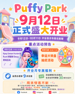 Puffy Park Indoor Playground2